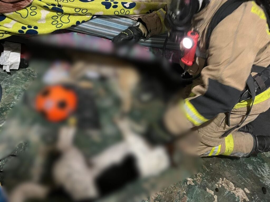 Los bomberos también hallaron dos caninos sin signos vitales en una de las habitaciones