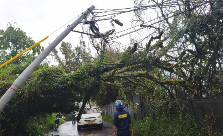 Caída de árbol y poste generó alerta en la vía entre Rionegro y La Ceja
