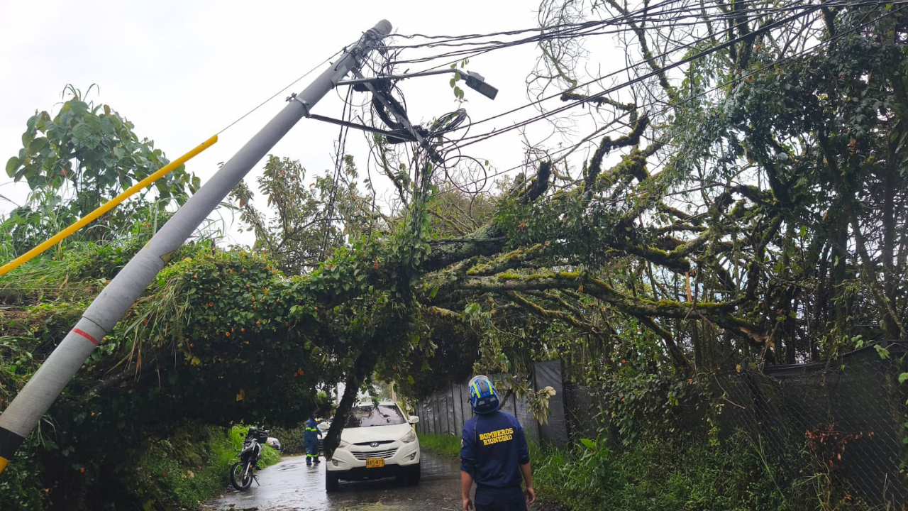Caída de árbol y poste generó alerta en la vía entre Rionegro y La Ceja