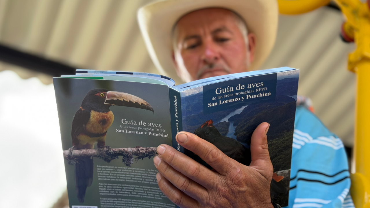 Cornare presenta guía que documenta 150 aves y expone la riqueza natural del oriente antioqueño
