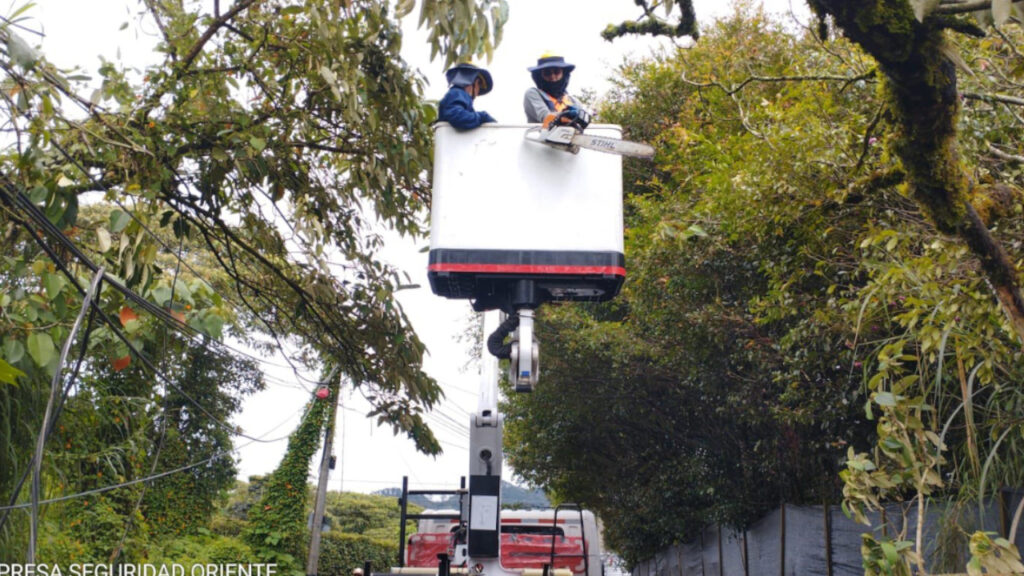 Caída de árbol y poste generó alerta en la vía entre Rionegro y La Ceja