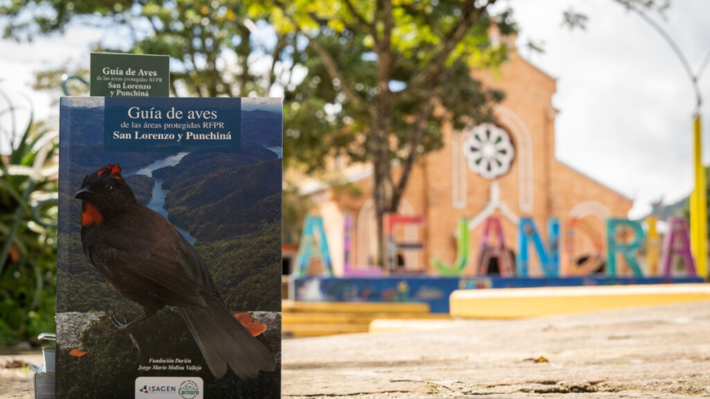 Cornare presenta guía que documenta 150 aves y expone la riqueza natural del oriente antioqueño