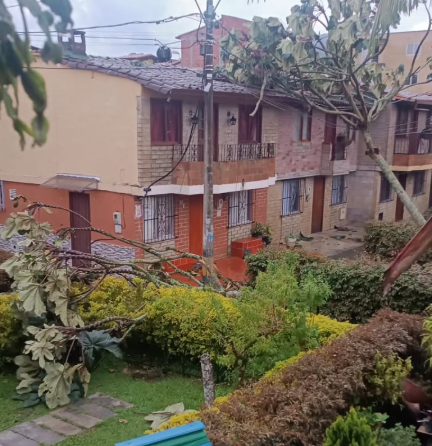 árboles caídos por vendaval en La Ceja Antioquia