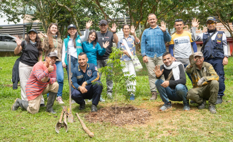 Trabajo conjunto de Cornare y Jardín Botánico en cuidado del arbolado urbano en Antioquia