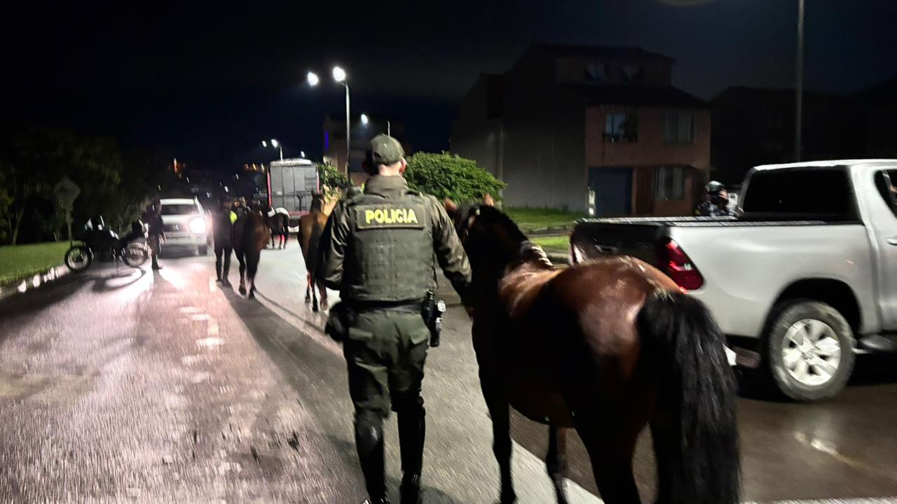 Aprehenden diez equinos en vías de El Carmen de Viboral durante operativo de control