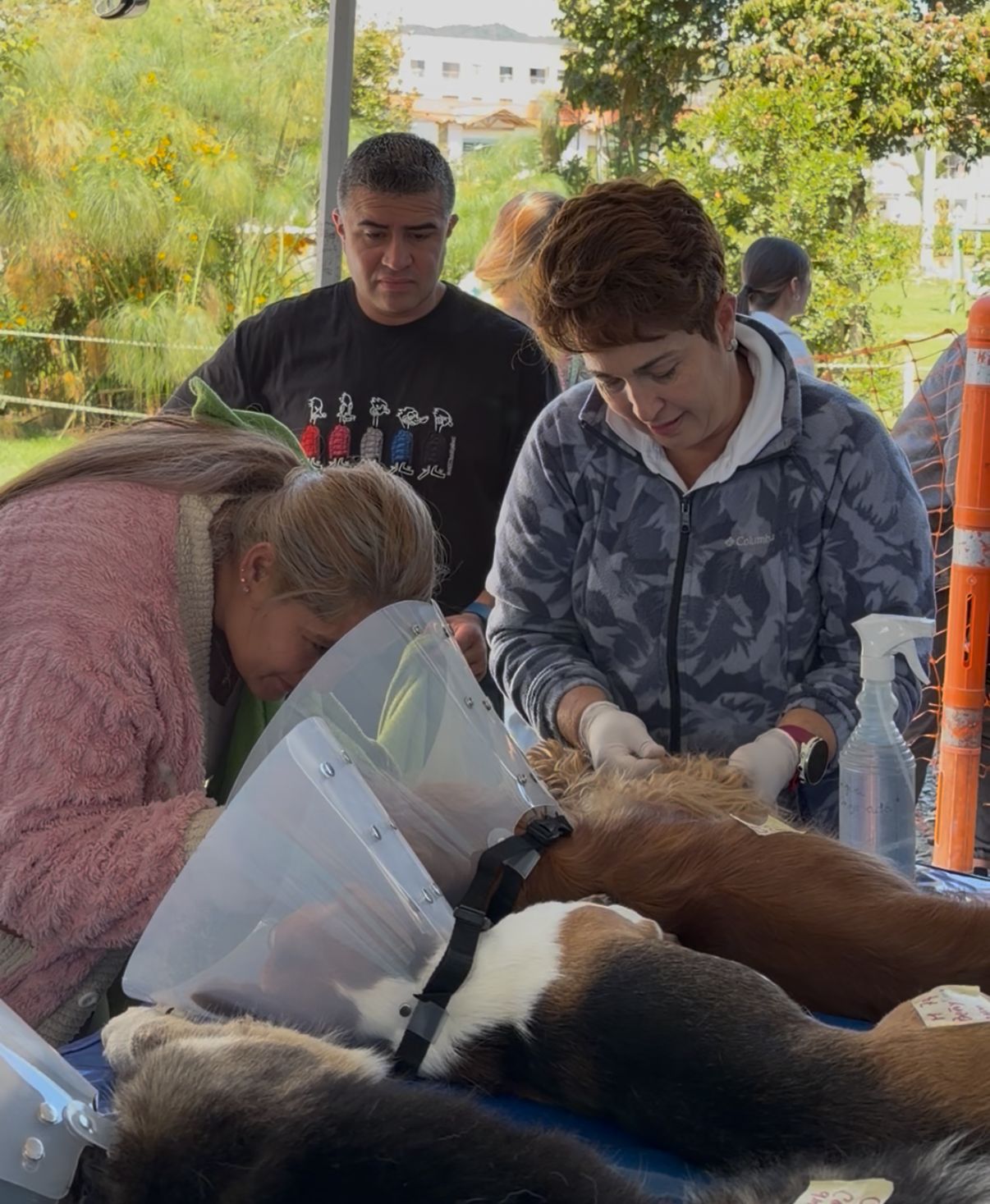 La Ceja supera las 1.200 esterilizaciones tras nueva jornada gratuita para mascotas