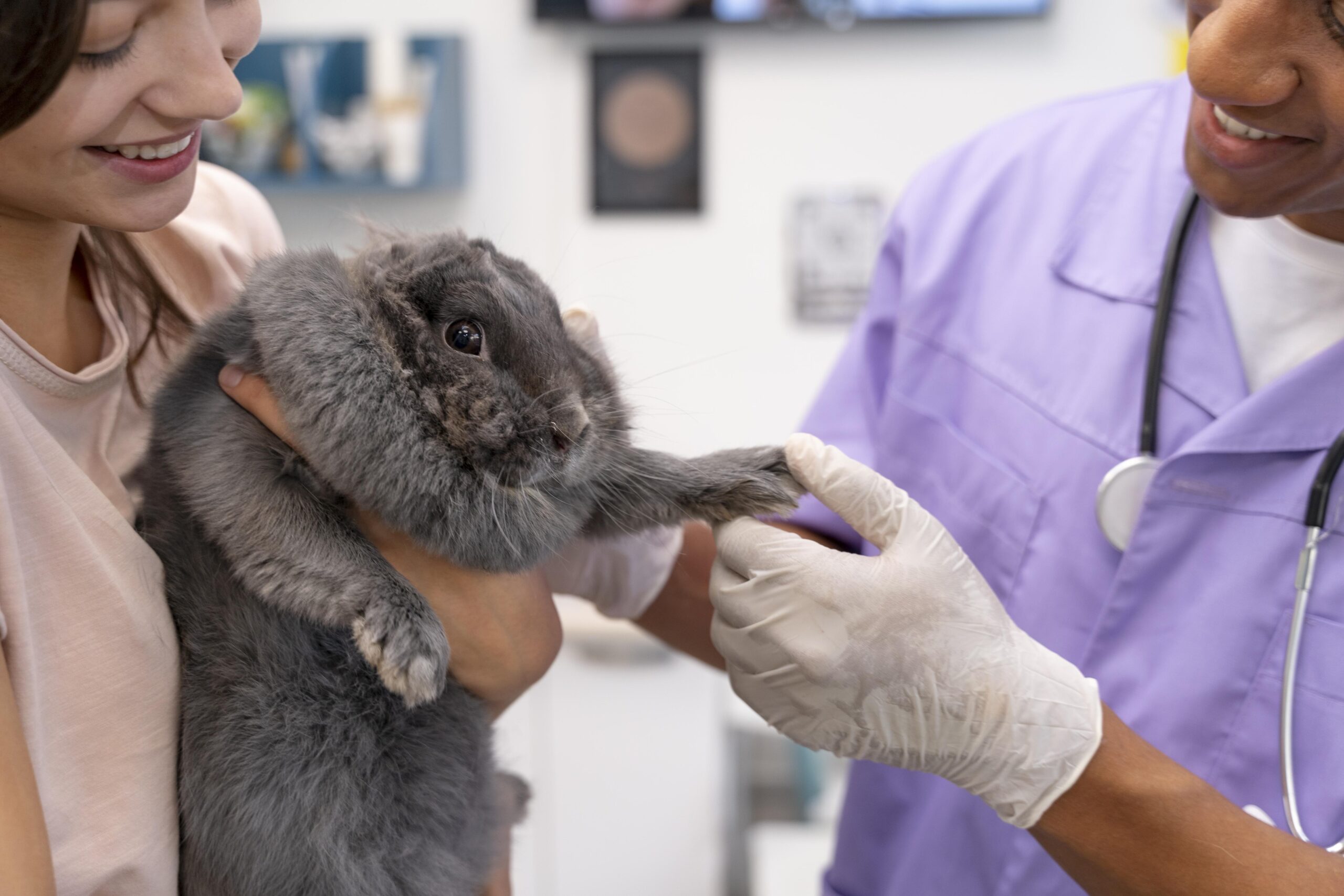 Gobierno reglamenta prohibición de pruebas en animales para cosméticos en Colombia
