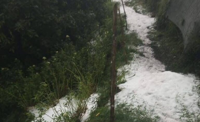 Cultivos cubiertos de hielo tras fuerte granizada en La Ceja, Antioquia