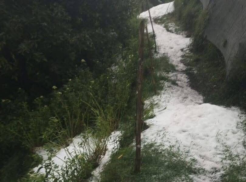¡En pleno verano! Fuerte granizada cubrió de hielo cultivos en La Ceja y preocupa a campesinos