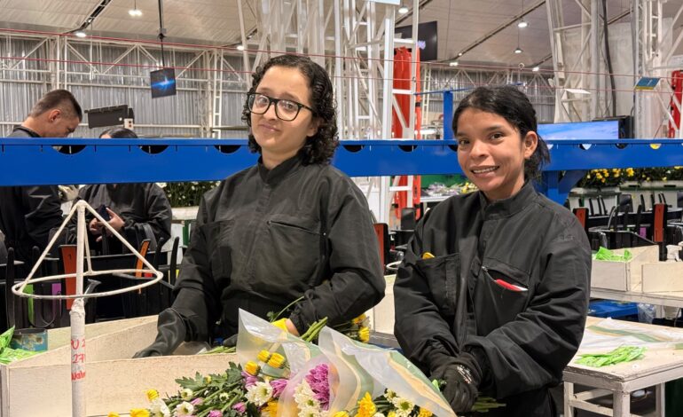 Empresas de La Ceja buscan talento: inicia convocatoria para personas con discapacidad