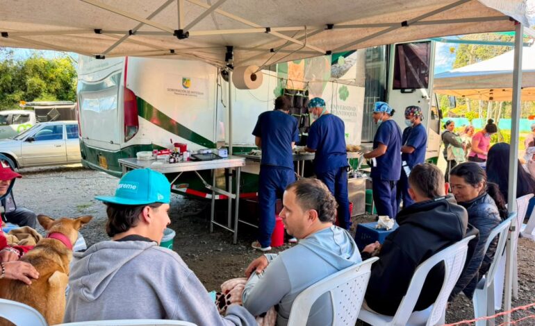 La Ceja esterilizó 89 perros y gatos en una nueva jornada gratuita de bienestar animal
