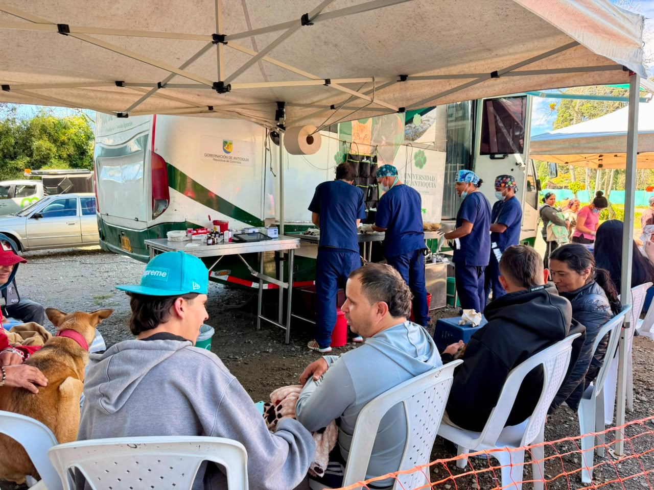 Jornada gratuita de esterilización de perros y gatos en La Ceja.